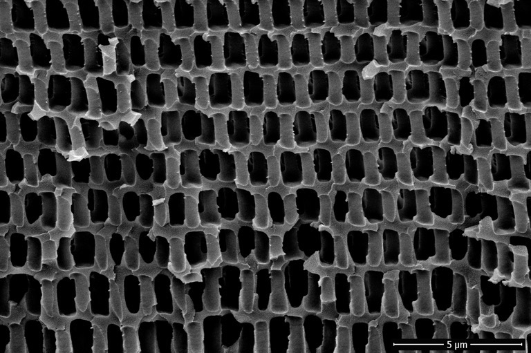 additive manufacturing