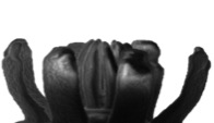 20μm scale shape memory polymer structure
