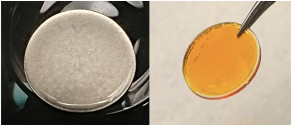 Left: Polyborane-based polymer electrolyte; Right: UV-cured polyethylene glycol gel polymer electrolyte