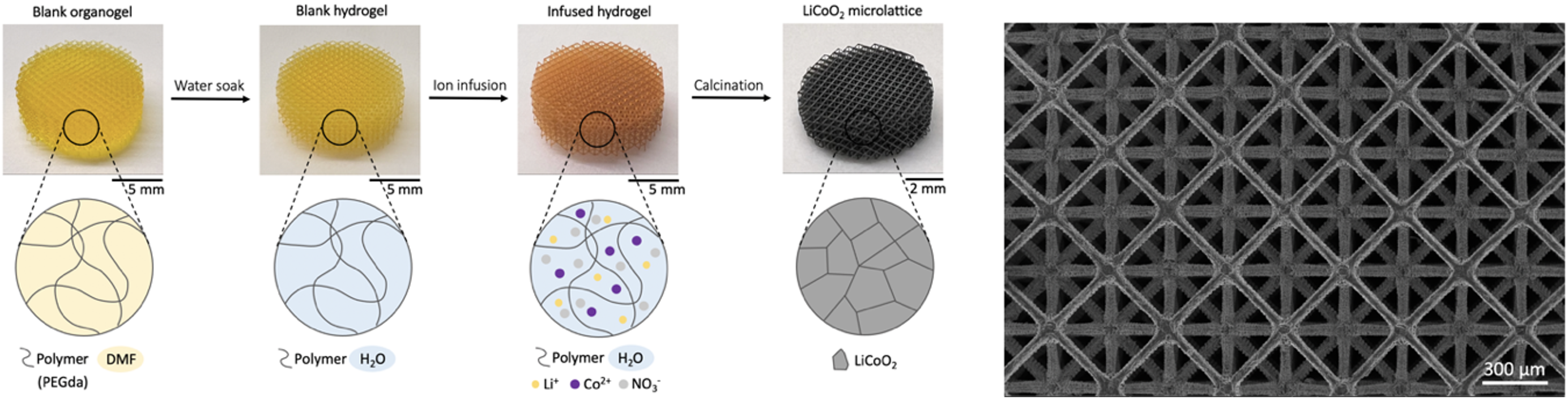 Gel infusion and calcination additive manufacturing process and SEM image of 3D LiCoO<sub>2</sub> microlattice