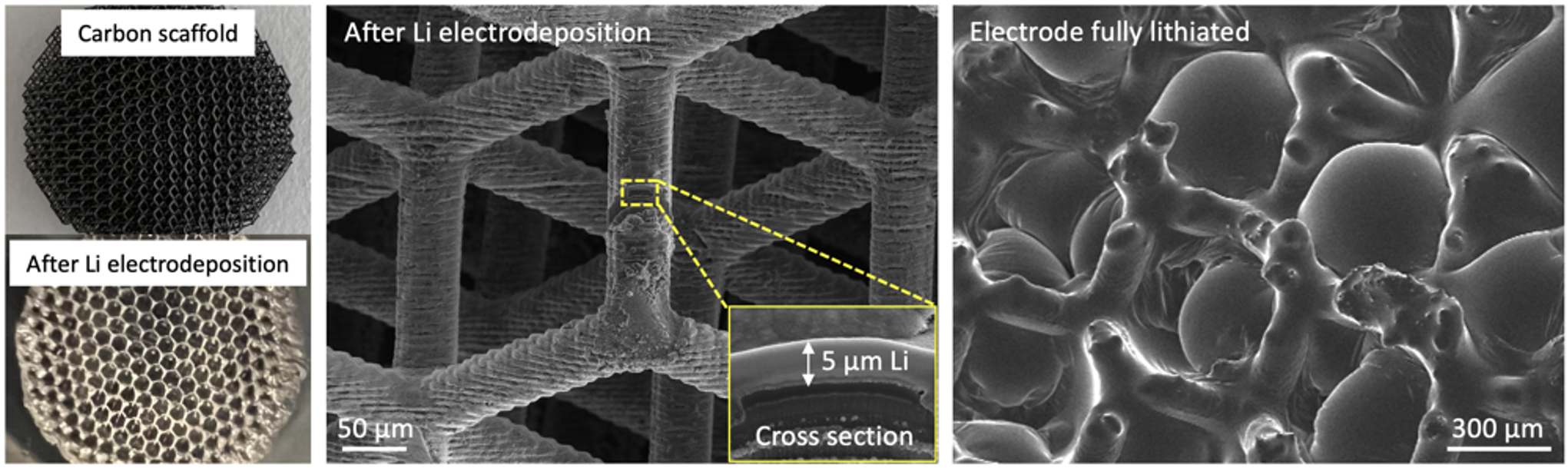 3D architected carbon host and lithium metal electrode